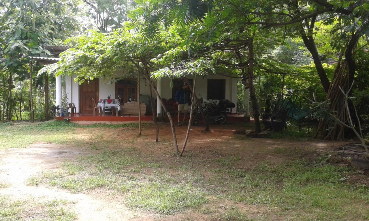 Family Nest Apartment Dambulla Luaran gambar